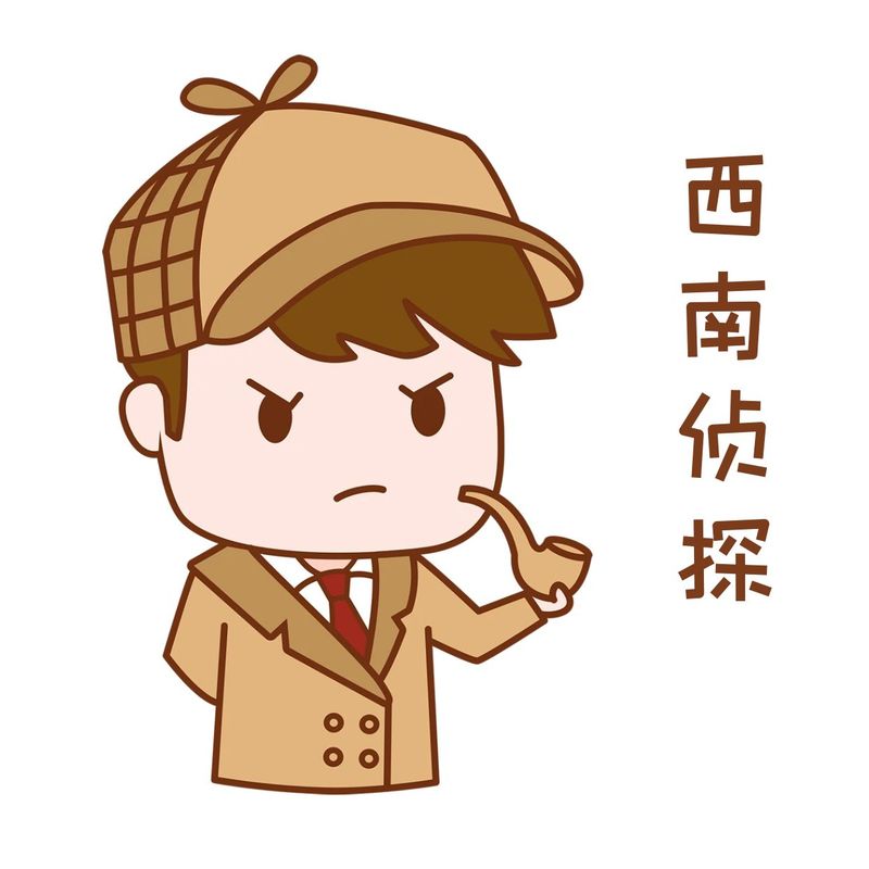 西南侦探